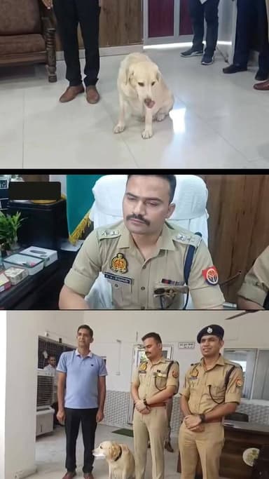 संभल के मैरी नाम के डॉग को एसपी कृष्ण कुमार विश्नोई ने आखिर क्यों दिया दस हज़ार का ईनाम?