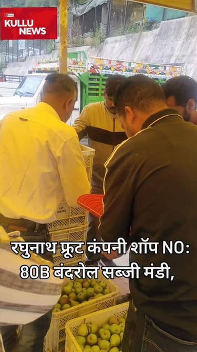 🍐 आज के नाशपाती के भाव – बंदरोल सब्जी मंडी, जिला कुल्लू (हि.प्र.) दिनांक: 22 जून 2026
🔹 ए ग्रेड: ₹132 प्रति किलो
🔹 बी ग्रेड: ₹97 प्रति किलो
📍 Raghunath Fruit Trader
🏪 शॉप नं.: 80B
📞 मोबाइल: 98160-66639 70184-52757