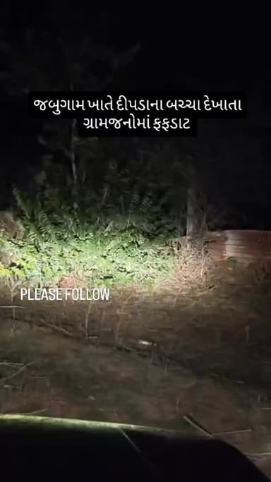 જબુગામ ખાતે દીપડાના બચ્ચા દેખાતા ગ્રામજનોમાં ફફડાટ
#News
#ViralVideo
#BreakingNews
#GujaratNews
#BodeliNews