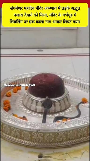 संगमेश्वर महादेव मंदिर अरुणाय में तड़के अद्भूत नजारा देखने को मिला, मंदिर के गर्भगृह में शिवलिंग पर एक काला नाग आकर लिपट गया।