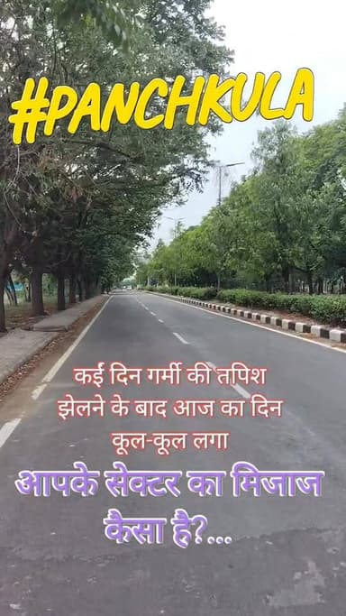 कईं दिन गर्मी की तपिश झेलने के बाद आज का दिन कूल-कूल लगा, आपके सेक्टर का मिजाज कैसा है?...
#panchkula #panchkulasocialmedia