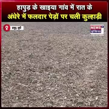 हापुड़ के खाइया गांव में रात के अंधेरे में फलदार पेड़ों पर चली कुल्हाड़ी || #shorts