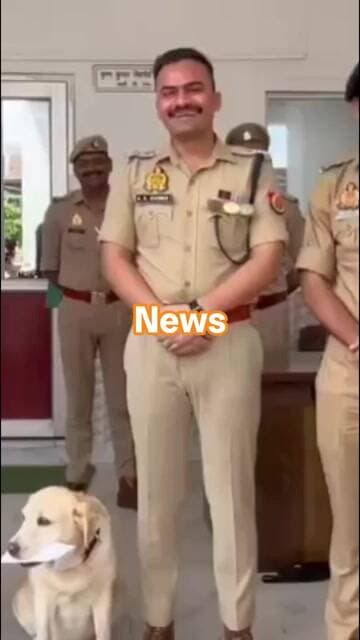 आखिर क्यों संभल Sp ने इस मैरी को दिया दस हजार का इनाम #highlights