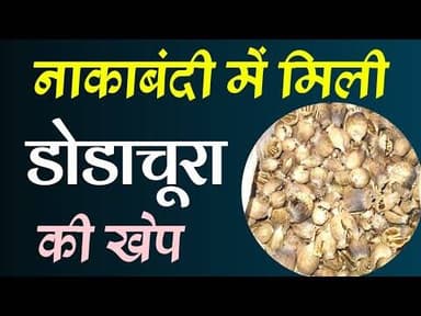 नाकाबंदी में मिली डोडाचूरा की खेप #nakabndi_me_mili_dodachura_ki_khep #dodachura #ndps_act #news