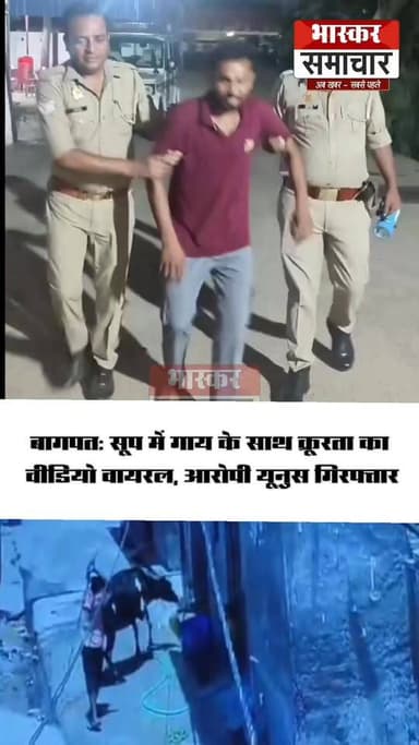 बागपत जनपद के रमाला थाना क्षेत्र के सूप गांव से गाय के साथ कथित क्रूरता का मामला सामने आया है। सोशल मीडिया प्लेटफॉर्म एक्स पर एक पोस्ट वायरल होने के बाद पुलिस ने मामले का तत्काल संज्ञान लेते हुए कार्रवाई की है।
पुलिस के अनुसार सोशल मीडिया पर साझा की गई पोस्ट में सूप गांव निवासी यूनुस पुत्र ताहिर पर गाय के साथ मारपीट और क्रूरता करने का आरोप लगाया गया था। मामला सामने आते ही रमाला थाना पुलिस ने जांच शुरू की और आरोपों की पुष्टि के लिए मौके पर पहुंचकर आवश्यक जानकारी जुटाई।
जांच के बाद पुलिस ने त्वरित कार्रवाई करते हुए आरोपी यूनुस को हिरासत में ले लिया। पुलिस का कहना है कि आरोपी को गिरफ्तार कर लिया गया है और उसके खिलाफ आवश्यक वैधानिक कार्रवाई की जा रही है।