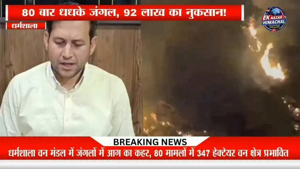 धर्मशाला वन मंडल में जंगलों में आग के 80 मामले दर्ज, 347 हेक्टेयर वन क्षेत्र प्रभावित और 92 लाख रुपये के नुकसान का अनुमान। वन विभाग ने लोगों से घासनियों में आग लगाने से बचने की अपील की है।
#Dharamshala #ForestFire #HimachalPradesh #Kangra #ForestDepartment #BreakingNews #EkNazarHimachalNews #HimachalNews #Wildfire #EnvironmentNews
