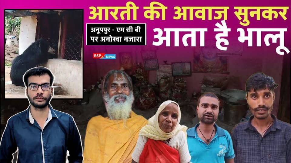 अनूपपुर के पास CG में स्थित है ऐसा स्थान जहां प्रसाद लेने आता है भालू । ANUPPUR NEWS ।। MCB CG । bear in temple । chhatisgarh news । Anuppur news
#bsp24news
#bear
#anuppur
#chhattisgarh