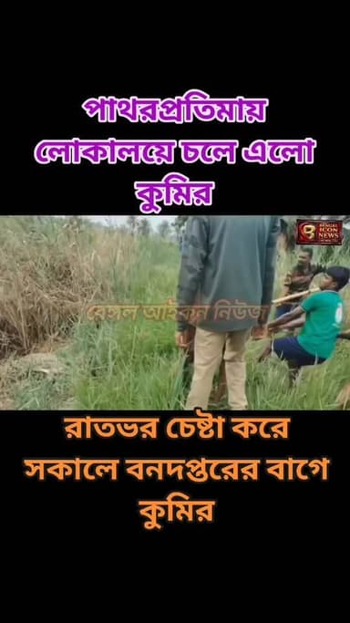 পাথরপ্রতিমায় লোকালয়ে চলে এলো কুমির। রাতভর চেষ্টা করে সকালে বনদপ্তরের বাগে কুমির