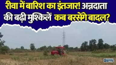 रीवा में सूखे खेत, किसानों की बढ़ी मुश्किलें! मानसून कब देगा दस्तक?
#vindhyatimes #rewanews #satnanews #shahdolnews #sidhinews #annupurews #umariyanews #singraulinews #naigarhinews #news #mpnews #hindinew #live #bhopal #indore #newsupdate #newslive #Rewa #RewaNews #RainUpdate #Monsoon #Kisan #Farmers #Kharif #Weather #MPNews #Vindhya #Agriculture #BreakingNews #HindiNews #Monsoon2026