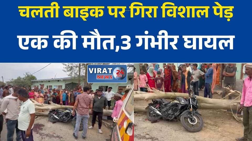 मैहर में दर्दनाक हादसा: चलती बाइक पर गिरा विशाल पेड़, युवती की मौत
बरहिया गांव में बड़ा हादसा, पेड़ गिरने से बाइक सवार चार लोग चपेट में आए
सड़क पर अचानक गिरे पेड़ ने ली युवती की जान, तीन गंभीर घायल
मैहर में पेड़ गिरने से मचा हड़कंप, घायलों का अस्पताल में इलाज जारी
देहात थाना क्षेत्र में दर्दनाक दुर्घटना, बाइक सवारों पर टूटा पेड़#Maihar #MaiharNews #MadhyaPradesh #MPNews #RoadAccident #TreeFall #BreakingNews #AccidentNews #HindiNews #LatestNews #DehatThana #Barahiya #RewaNews #NewsUpdate #ViralNews #TragicAccident #MPBreaking