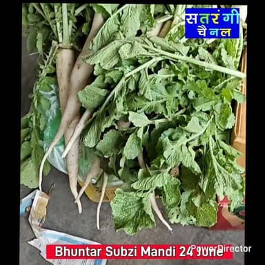 भुंतर सब्ज़ी मंडी में आज दिनांक 24 जून को सब्जी और फ़लों के थोक भाव इस प्रकार रहे |
देखें वीडियो और हमारे चैनल को सब्सक्राइब करना न भूलें...
#bhuntarsubzimandi #solansubzimandi #takolisubzimandi #azadpursubzimandi