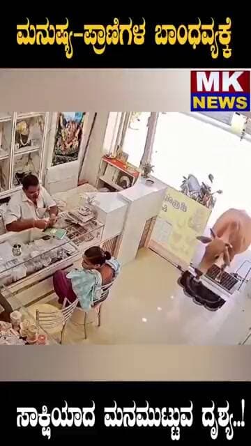 ಮನುಷ್ಯ-ಪ್ರಾಣಿಗಳ ಬಾಂಧವ್ಯಕ್ಕೆ ಸಾಕ್ಷಿಯಾದ ಮನಮುಟ್ಟುವ ದೃಶ್ಯ..!