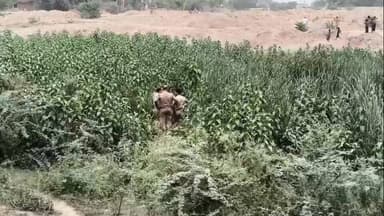 डाला में झाड़ियों में मिला नर कंकाल, पुलिस ने अवशेषों को कब्जे में लेकर जांच में जुटी