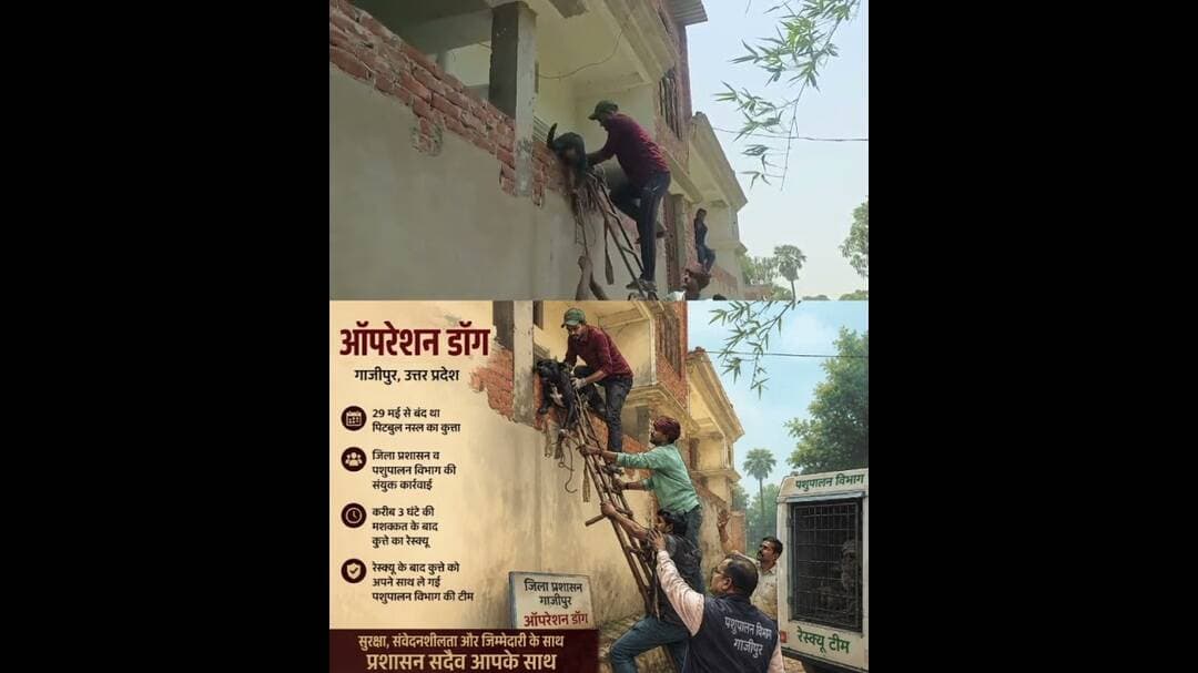 1 लाख के ईनामिया #Shanker #Pandey के #DOG का रेस्क्यू कर पशुपालन विभाग ने बंद घर से निकाला