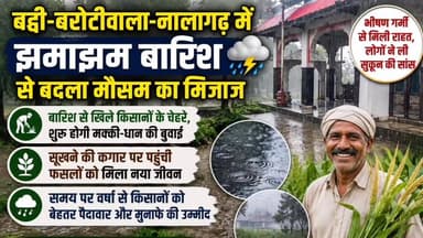 बद्दी-बरोटीवाला-नालागढ़ में झमाझम बारिश से बदला मौसम का मिजाज
भीषण गर्मी से मिली राहत, लोगों ने ली सुकून की सांस
बारिश से खिले किसानों के चेहरे, शुरू होगी मक्की-धान की बुवाई
सूखने की कगार पर पहुंची फसलों को मिला नया जीवन
समय पर वर्षा से किसानों को बेहतर पैदावार और मुनाफे की उम्मीद
#Baddi #Barotiwala #Nalagarh #RainUpdate #MonsoonRelief #HimachalPradesh #Farmers #MaizeCrop #PaddyCultivation #AgricultureNews #WeatherUpdate #HeavyRain #MonsoonSeason #KisanNews #NalagarhNews #BBNNews #HimachalNews #CropRelief #Rainfall #FarmingIndia