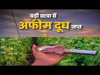 बड़ी मात्रा में अफीम दूध जप्त #afim_dudh #byawar_rajsthan #track #nakabandi #karyvahi #ndps_act #mpcg