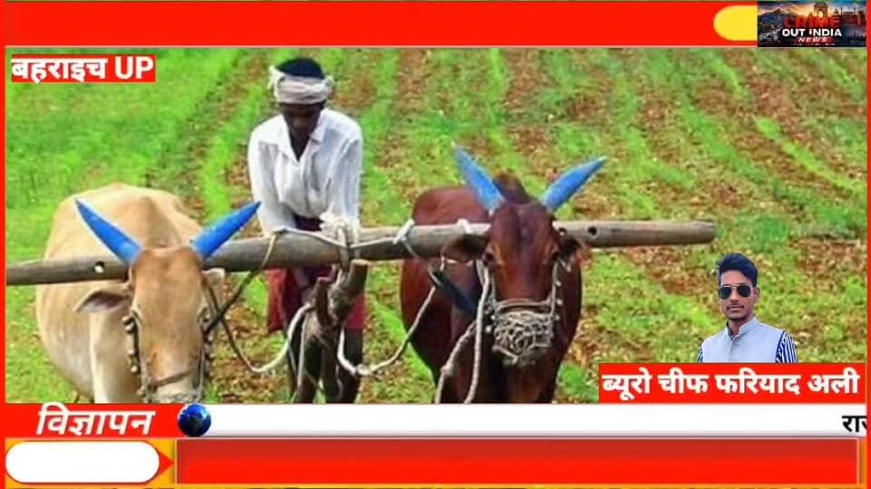 🌱 किसानों को मिला मुफ्त मूंगफली बीज, मिहींपुरवा में उमड़ी भीड़!
#Bahraich #Mihinpurwa #GroundnutSeed #MoongfaliBeej #FarmersNews #AgricultureNews #KisanSamman #NMEO #Crimeoutindia #fariyadali #fariyadalireport