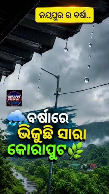 🌧️ ବର୍ଷାରେ ଭିଜୁଛି ସାରା କୋରାପୁଟ! ଜୟପୁର ସହ କୋରାପୁଟର ବିଭିନ୍ନ ଅଞ୍ଚଳରେ ଲଗାତାର ବର୍ଷା ଜାରି ରହିଛି..#shorts