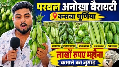परवल की 8 सबसे बेहतरीन वैरायटी | एक एकड़ में 5 लाख तक की कमाई | Purnea Khabar 🌿
#ParwalKiKheti #AgriBusiness #परवल_उन्नत_किस्में
जय हिंद दोस्तों! पूर्णिया खबर पर आपका स्वागत है। आज की इस खास रिपोर्ट में हम आपको कसबा, पूर्णिया से परवल की खेती की सबसे उन्नत और बेहतरीन वैरायटी दिखा रहे हैं।
अगर आप भी किसान हैं और कम लागत में ज्यादा मुनाफा कमाना चाहते हैं, तो यह वीडियो आपके लिए है। 'विश्वास खेतीबाड़ी' के अंकित कुमार ने परवल की कुल 8 बेहतरीन वैरायटी के बारे में विस्तार से बताया है।
एक एकड़ में मात्र 50 से 60 हजार की लागत लगाकर आप 4 से 5 लाख तक की शानदार कमाई कर सकते हैं।
इस वीडियो में बताई गई परवल की मुख्य वैरायटी के नाम:
विश्वास वैरायटी (Vishwas - खुद तैयार की गई)
स्वर्ण रेखा (Swarn Rekha)
स्वर्ण अलौकित (Swarn Alokit)
दुधियारी (Dudhiyari - सफेद परवल)
बंगाल ज्योति (Bengal Jyoti - सबसे ज्यादा फलने वाली)
बंगाल (Bengal)
राजेन्द्र 1 (Rajendra 1 - किसानों की पहली पसंद)
वीडियो को पूरा देखें और हमारे किसान भाइयों के साथ इसे ज्यादा से ज्यादा शेयर करें। खेती से जुड़ी ऐसी ही ग्राउंड रिपोर्ट और अपडेट्स के लिए पूर्णिया खबर के पेज को फॉलो जरूर करें।
पौधे की जानकारी के लिए संपर्क करें:
विश्वास खेतीबाड़ी, कसबा (पूर्णिया)
संपर्क: 7761903942