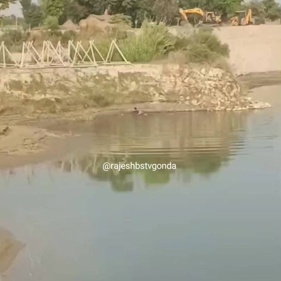 गोंडा से होकर बहने वाली घाघरा नदी के भिखारीपुर सकरौर बाँध से एक रोंगटे खड़े कर देनी वाली तस्वीर सामने आई है।बाँध पर काम कर रहे एक मजदूर पर मगरमच्छ ने जानलेवा हमला कर दिया। सनौली मोहम्मदपुर के पास चल रहे बांध के काम के दौरान अचानक एक विशालकाय मगरमच्छ ने मजदूर को अपने मजबूत जबड़ों में दबोच लिया। प्रत्यक्षदर्शियों के अनुसार, मगरमच्छ मजदूर को खींचकर गहरे पानी में ले जाने का प्रयास कर रहा था। इस भयानक मंजर को देखकर वहां मौजूद अन्य मजदूरों में हड़कंप मच गया।
मजदूर की चीख-पुकार सुनकर उसके साथी उसे बचाने के लिए दौड़ पड़े। एक जांबाज साथी मजदूर ने बिना अपनी जान की परवाह किए सूझबूझ दिखाई और पास ही रखे हथौड़े से मगरमच्छ के मुंह पर ताबड़तोड़ वार करना शुरू कर दिया। हथौड़े की जोरदार चोट खाकर आखिरकार मगरमच्छ को अपना शिकंजा ढीला करना पड़ा और उसने मजदूर का पैर छोड़ दिया। इसके बाद मगरमच्छ वापस गहरे पानी में लौट गया।
इस जानलेवा हमले में मजदूर का पैर बुरी तरह जख्मी हो गया है। मौके पर मौजूद अन्य मजदूरों की मदद से घायल को तुरंत नजदीकी अस्पताल में भर्ती कराया गया, जहां उसका इलाज जारी है। घटना का एक लाइव वीडियो भी सामने आया है, जो सोशल मीडिया पर तेजी से वायरल हो रहा है। इस पूरी घटना ने बांध पर काम करने वाले अन्य मजदूरों और स्थानीय ग्रामीणों में दहशत का माहौल पैदा कर दिया है।
#Gonda #GondaBreaking #GhaghraRiver #CrocodileAttack #UPNews #GondaNews #WildlifeAttack #BreakingNews #LiveVideo #HeroicRescue