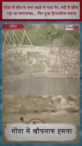 गोंडा में मौत से जंग! जबड़े में फंसा पैर, नदी में खींच रहा था मगरमच्छ... फिर हुआ हैरतअंगेज बचाव
#Gonda #CrocodileAttack