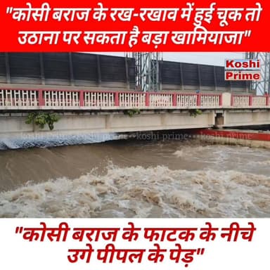 कोसी बराज के रख रखाव में हुई चूक तो उठाना पर सकता है बड़ा खामियाजा,
-----सभी फाटक के नीचे उगे पीपल के पेड़!
#BreakingNews #koshibarrage #NewsUpdate #kosiriver #newsfeed #LatestUpdate #fbpost