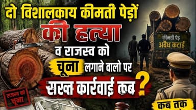 बनमनखी में दो कीमती पेड़ों की हत्या व राजस्व को चूना लगाने वालो पर सख्त कार्रवाई कब? #banmankhi