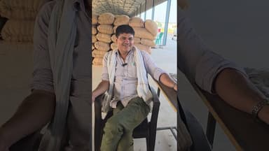 मक्का के भाव मे ₹50 रूपए का उछाल ठठिया मंडी कन्नौज मे नगद पेमेंट बिना किसी कटौती के #ठठिया #मक्का