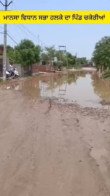 ਇਸ ਬਾਰੇ ਕੀ ਕਹੋਗੇ