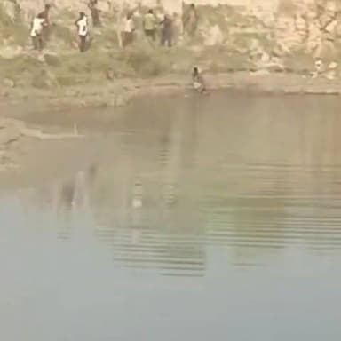 घाघरा किनारे मौत से जंग: मगरमच्छ ने युवक का पैर जबड़े में दबोचा, साथियों की बहादुरी से बची जान
गोंडा में नदी किनारे काम कर रहे युवक पर मगरमच्छ का हमला, हथौड़े के वार से छुड़ाया गया
घटना का वीडियो वायरल, वन विभाग से सुरक्षा व्यवस्था मजबूत करने की मांग
✒️रिपोर्ट नागेंद्र पांडये
गोंडा (उत्तर प्रदेश)। गोंडा जिले में घाघरा नदी के किनारे काम कर रहे एक युवक पर मगरमच्छ ने अचानक हमला कर दिया। मगरमच्छ ने युवक का पैर अपने जबड़ों में जकड़ लिया और उसे नदी की ओर खींचने लगा। मौके पर मौजूद साथियों ने साहस और सूझबूझ का परिचय देते हुए मगरमच्छ पर हमला किया, जिसके बाद युवक की जान बच सकी। घटना का वीडियो सोशल मीडिया पर तेजी से वायरल हो रहा है।
उत्तर प्रदेश के गोंडा जिले में घाघरा नदी के किनारे एक दिल दहला देने वाली घटना सामने आई है। प्रत्यक्षदर्शियों के अनुसार युवक नदी के किनारे कार्य कर रहा था, तभी अचानक पानी से निकले मगरमच्छ ने उसके पैर को अपने जबड़ों में दबोच लिया।
मगरमच्छ करीब एक मिनट तक युवक को नदी की ओर घसीटने का प्रयास करता रहा। युवक मदद के लिए चिल्लाता रहा, जिसके बाद उसके साथ काम कर रहे लोग तुरंत मौके पर पहुंचे।
बताया जा रहा है कि युवक के एक साथी ने साहस दिखाते हुए हथौड़े से मगरमच्छ के सिर पर वार किया। लगातार प्रयास और शोर-शराबे के बाद मगरमच्छ ने युवक का पैर छोड़ दिया और वापस नदी की ओर चला गया। इसके बाद घायल युवक को सुरक्षित बाहर निकालकर उपचार के लिए भेजा गया।
घटना का वीडियो भी सोशल मीडिया पर वायरल हो रहा है, जिसमें मगरमच्छ के हमले और युवक को बचाने के प्रयास दिखाई दे रहे हैं। हालांकि वायरल वीडियो की स्वतंत्र आधिकारिक पुष्टि संबंधित प्रशासन द्वारा की जानी बाकी है।
स्थानीय लोगों का कहना है कि घाघरा नदी के किनारे मगरमच्छों की मौजूदगी पहले भी देखी जाती रही है। उन्होंने वन विभाग से नदी किनारे काम करने वाले लोगों की सुरक्षा के लिए प्रभावी इंतजाम करने और चेतावनी बोर्ड लगाने की मांग की है।
वायरल फैक्ट
घटना का वीडियो सोशल मीडिया पर तेजी से वायरल हो रहा है। लोग युवक के साथियों की बहादुरी की सराहना कर रहे हैं। हालांकि वीडियो और घटना से जुड़े सभी तथ्यों की पुष्टि संबंधित प्रशासन और वन विभाग की जांच के बाद ही मानी जानी चाहिए।
विशेषज्ञों का मानना है कि मगरमच्छों के प्राकृतिक आवास वाले क्षेत्रों में कार्य करते समय अतिरिक्त सतर्कता आवश्यक होती है। ऐसी घटनाएं यह याद दिलाती हैं कि नदी किनारे सुरक्षा मानकों का पालन और समय रहते बचाव उपाय अपनाना जीवन बचाने में महत्वपूर्ण भूमिका निभाता है।
🟥 ND NEWS की विशेष अपील
ND NEWS | दैनिक निष्पक्ष धारा सभी नागरिकों से अपील करता है कि मगरमच्छ या अन्य वन्यजीवों की मौजूदगी वाले क्षेत्रों में अत्यधिक सतर्कता बरतें। किसी भी वन्यजीव को उकसाने या उसके करीब जाने से बचें तथा आपात स्थिति में तुरंत वन विभाग और स्थानीय प्रशासन को सूचना दें।
जनहित में सुझाव
✅ नदी किनारे कार्य करते समय समूह में रहें।
✅ वन विभाग द्वारा जारी चेतावनी का पालन करें।
✅ मगरमच्छ दिखने पर उसके पास जाने का प्रयास न करें।
✅ आपात स्थिति में तुरंत पुलिस और वन विभाग को सूचना दें।
✅ नदी किनारे सुरक्षा संकेतक और बैरिकेडिंग सुनिश्चित की जाए।
✅ स्थानीय प्रशासन संवेदनशील क्षेत्रों में नियमित निगरानी बढ़ाए।
"सतर्कता ही सुरक्षा है—प्राकृतिक आवासों में सावधानी जीवन बचा सकती है।"
👇🏿👇🏿👇🏿
@UPGovt
@myogiadityanath
@CMOfficeUP
@Uppolice
@dgpup
@UPForestGov
@InfoDeptUP
@NDRFHQ
👇🏿👇�
#NDNews #दैनिकनिष्पक्षधारा #Gonda #GhaghraRiver #CrocodileAttack #UttarPradesh #Wildlife #BreakingNews #ForestDepartment #NDNewsChannel
👇🏿👇🏿👇🏿
🟥 ND NEWS | दैनिक निष्पक्ष धारा
मुख्य संपादक / संस्थापक: राजन सिंह हाड़ा
सह-संपादक: शालिनी सिंह भदौरिया
✒️ रिपोर्ट : सहयोगी शिवा गुप्ता के साथ जिला ब्यूरो अजय श्रीवास्तव
📍 कार्यालय-3: U158, हीरा स्वीट्स के पास, विकास मार्ग, लक्ष्मी नगर, पूर्वी दिल्ली, पिन कोड – 110092 (NCR)
📍 कार्यालय-2: विधानसभा रोड, बर्लिंगटन चौराहा, लखनऊ – 226001 (UP)
📍 कार्यालय-1: 1/1 अटल बिहारी चौराहा, नियर बर्मा चौराहा, फतेहपुर – 212601 (UP)
📅 दिनांक: 25 जून 2026
📆 दिन: गुरुवार
📧 Email: ndnewschannel@gmail.com
📞 मोबाइल: 9696119696