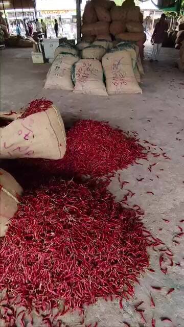#సార్క్ తేజ డీలక్స్ 20000 #subscribe #chilli #trendingshorts