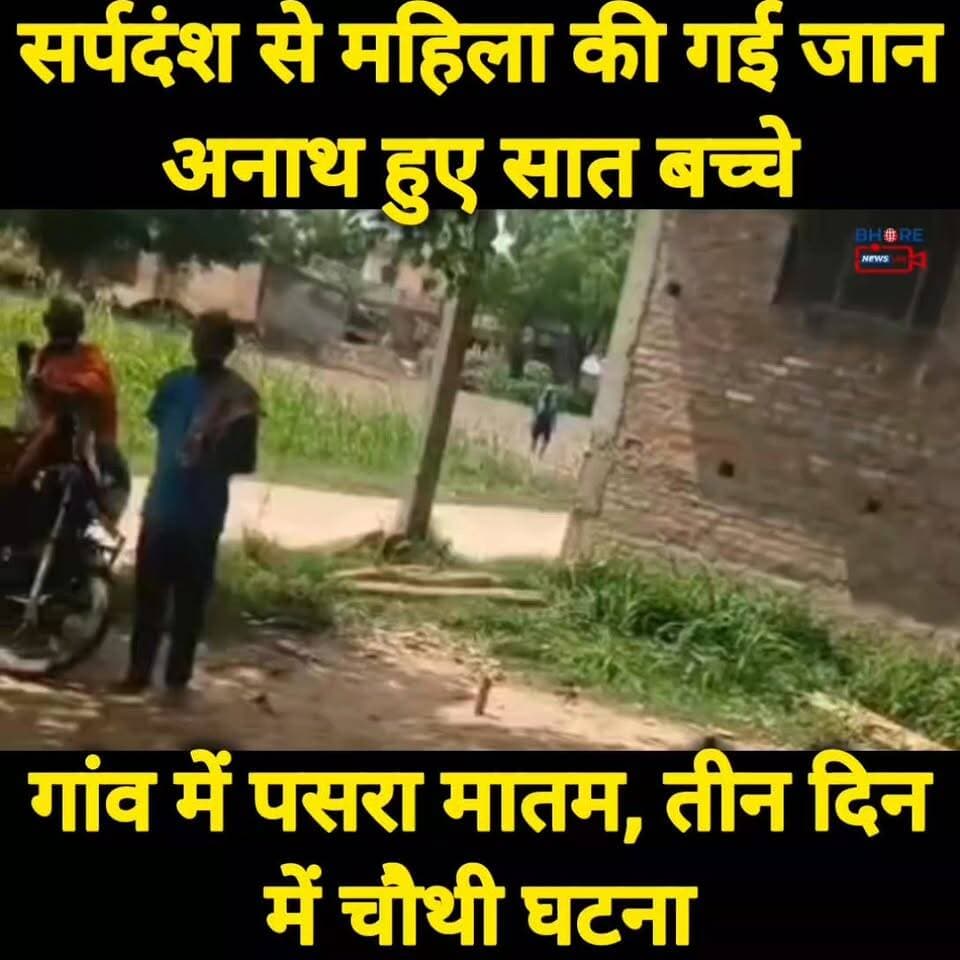 सर्पदंश से महिला की गई जान, अनाथ हुए सात बच्चे #viral #shorts #tren #gopalganj #news #gopalganjnewsupdate #viralpost2025シ #GopalganjNews #BREAKING #bhorenewsuodate