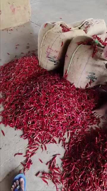 #ఆర్మూర్ ఢిలక్స్ 215-210 #subscribe #chilli #trendingshorts