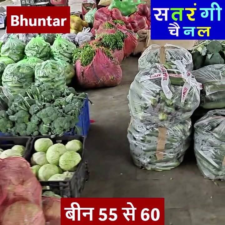 भुंतर सब्ज़ी मंडी में आज दिनांक 26 जून को सब्ज़ियों के थोक भाव इस प्रकार रहे | देखें वीडियो और चैनल को फॉलो करें....
#bhuntarsubzimandi #solansubzimandi #takolisubzimandi #azadpursubzimandi