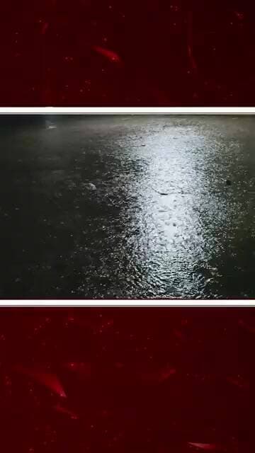 ખેરાલુમાં મધરાતે વરસાદી ઝાપટું પડ્યું | kheralu news | rain update |