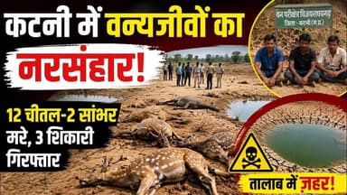 12 चीतल, 2 सांभर मरे, 3 शिकारी गिरफ्तार".. #katninews