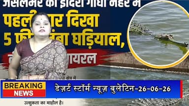 #desertstormnews #jaisalmernews #newsofjaisalmer #desertstorm जैसलमेर की इंदिरा गांधी नहर में पहली बार दिखा 5 फीट लंबा घड़ियाल, वीडियो हुआ वायरल