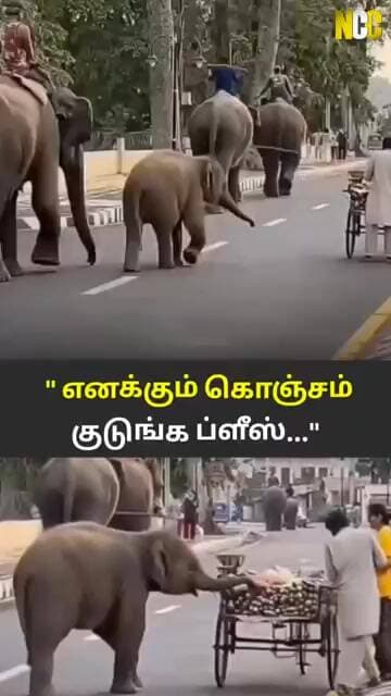 எனக்கும் கொஞ்சம் குடுங்க ப்ளீஸ்...
