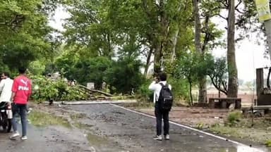 #रसूलाबाद तेज आंधी और बारिश से बिजली का पोल व दो पेड़ गिरे, यातायात बाधित
