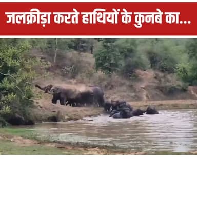 छत्तीसगढ़ के कोरबा जिले से प्रकृति का एक बेहद खूबसूरत और दिल को छू लेने वाला नजारा सामने आया है। कटघोरा वनमण्डल के सलिहाभाठा में 15 हाथियों का एक पूरा कुनबा पानी में उतरकर जलक्रीड़ा करता नजर आया। इस झुंड में नन्हे शावक भी शामिल हैं, जो अपनी सूंड से एक-दूसरे पर पानी उड़ाकर मस्ती कर रहे हैं। तपती गर्मी और उमस के बीच हाथियों के इस अंदाज का वीडियो सोशल मीडिया पर तेजी से वायरल हो रहा है।
हालांकि, जिले के विभिन्न क्षेत्रों में हाथियों की लगातार मौजूदगी को देखते हुए वन विभाग की टीम पूरी तरह मुस्तैद है। ग्रामीणों को सुरक्षित और अलर्ट रहने की सलाह दी गई है। इंसानी आबादी और वन्यजीवों के बीच सुंदर सामंजस्य को बयां करती यह सुखद तस्वीर लोगों के लिए कौतूहल और आकर्षण का केंद्र बनी हुई है।
#Chhattisgarh #Korba #Wildlife #ElephantLove #NatureLovers #ViralVideo #EcoSystem #ChhattisgarhTourism #FatafatNews