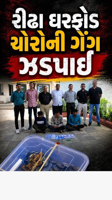 નવસારી LCB એ રીઢા ઘરફોડ ચોરોની કરતી ગેંગ ઝડપી
ચડ્ડી-બનિયાનધારી ગેંગના ૩ સાગરીતો મુદ્દામાલ સાથે અટકાયતમાં. ૨૧,૦૦૦/- થી વધુનો મુદ્દામાલ કબજે કરાયો
#navsari #navsarinews #tagnavsari #gujaratnews