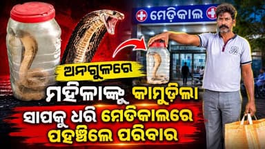 #ମହିଳା_ଙ୍କୁ_କାମୁଡ଼ିଲା_ନାଗ_ସାପ
#exclusive
#anugul
#Odisha
#OdishaNews
#OdiaNews
#Update
#LatestNews
#NewsUpdate
#viralpost
#odishrilive