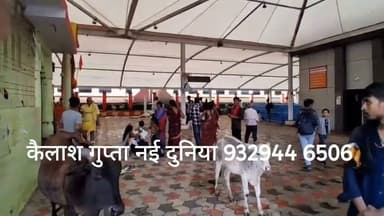 अमृत भारत योजना के श्रीधाम रेलवे स्टेशन की खुली पोल, हल्की आंधी में ही उखड़े सजावटी पैनल
कैलाश गुप्ता नई दुनिया मो 9329446506
Collector Narsinghpur Mahendra Nagesh Maninagendra Singh Foundation Jalam Singh Patel गोटेगांव विधानसभा Laxminarayan Tiwari Gotegaon Vidhansabha Narsinghpurnews.com Jansampark Madhya Pradesh Kanchhedi Patel Vishal Singh Patel Guru Shalendra Tiwari