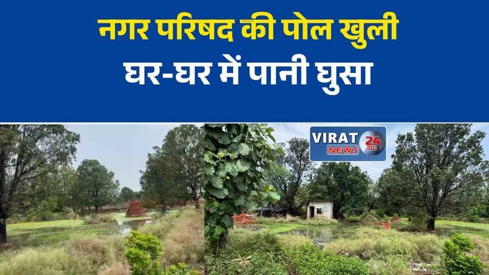 सेमरिया में बारिश से जलभराव
पहली बारिश में खुली पोल
घर-घर घुसा बारिश का पानी
नाला अतिक्रमण पर आरोप
लोगों ने की कार्रवाई की मांग#Sevriya #Rewa #RainProblem #WaterLogging #MunicipalCouncil #MPNews #BreakingNews #DrainageIssue #HindiNews #LatestNews #MadhyaPradesh #LocalNews #Administration