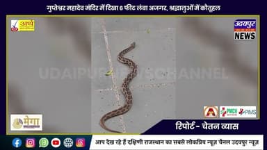 गुप्तेश्वर महादेव मंदिर में दिखा 6 फीट लंबा अजगर, श्रद्धालुओं में कौतूहल