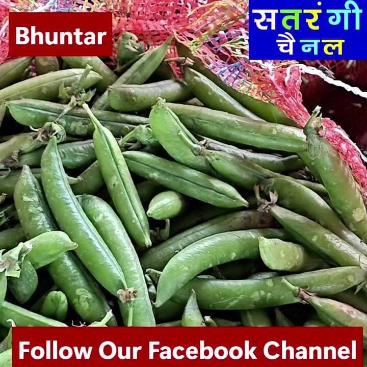 भुंतर, टकोली और बंजार सब्ज़ी मंडी में आज दिनांक 28 जून को सब्ज़ियों और फ़लों के थोक भाव इस प्रकार रहे.......
देखें वीडियो और चैनल को फॉलो करें....
#bhuntarsubzimandi #solansubzimandi #takolisubzimandi #azadpursubzimandi #banjarsubzimandi