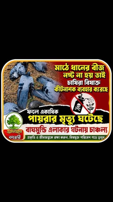#highlight #follower #BreakingNews #BirdSafety #forest #purulia