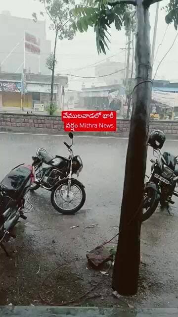 భారీ వర్షం #mithra_news #rajannasiricillanews #latestnews #vemulawadarain