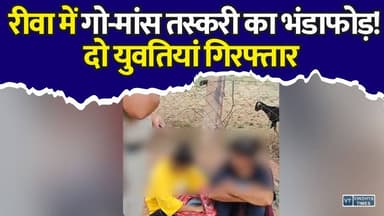 रीवा में गो-मांस केस से हड़कंप! दो युवतियां गिरफ्तार, पुलिस खंगाल रही नेटवर्क
#Rewa #RewaNews #MadhyaPradesh #MPNews #BreakingNews #CrimeNews #PoliceAction #Investigation #Forensic #CowMeatCase #AllegedCowMeat #SamanThana #RewaPolice #MPPolice #LawAndOrder #HindiNews #LatestNews #NewsUpdate #ViralNews #TodayNews