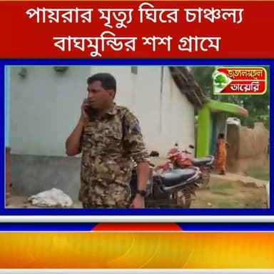 একাধিক পায়রার মৃত্যু ঘিরে চাঞ্চল্য ছড়াল বাঘমুন্ডির শশ গ্ৰামে।